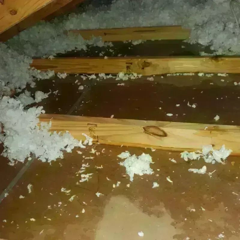 Attic Water Damage in Dunmore, PA